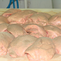 Foie gras frais déveiné 500 gr